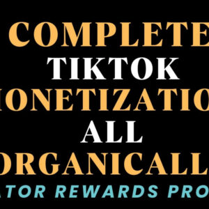 tiktok monetization service – creator reward setup + bank/id verification
